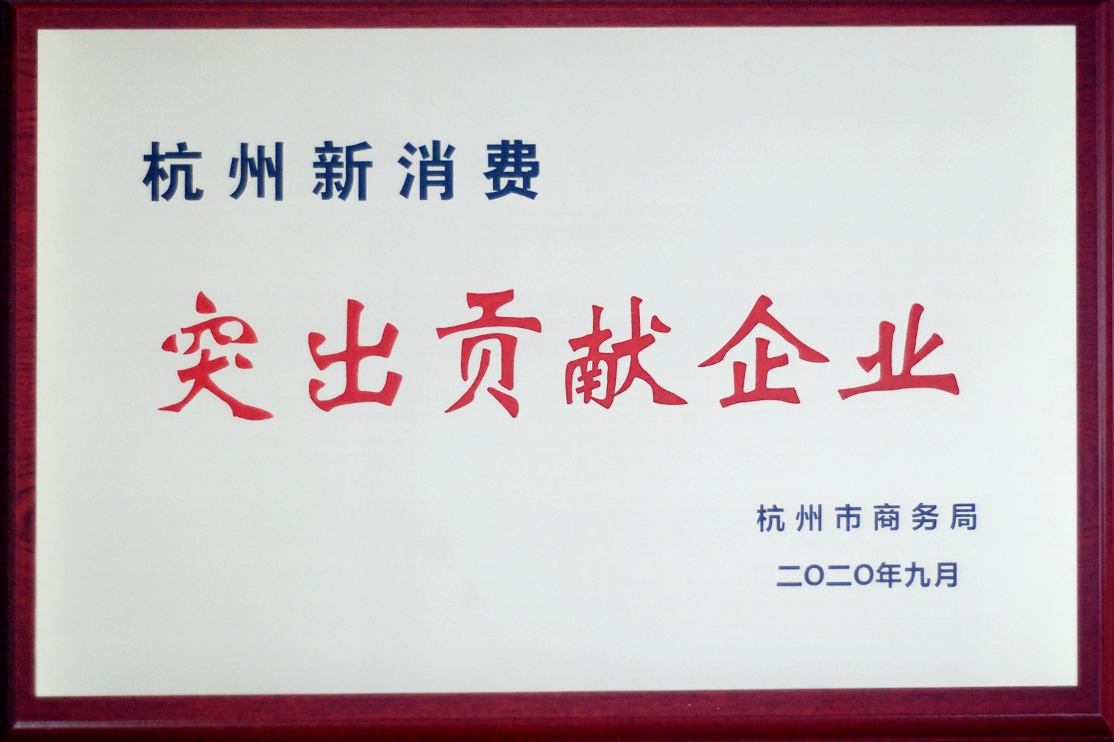 杭州市新消費突出貢獻企業(yè).JPG